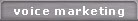 Voice Marketing