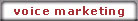Voice Marketing